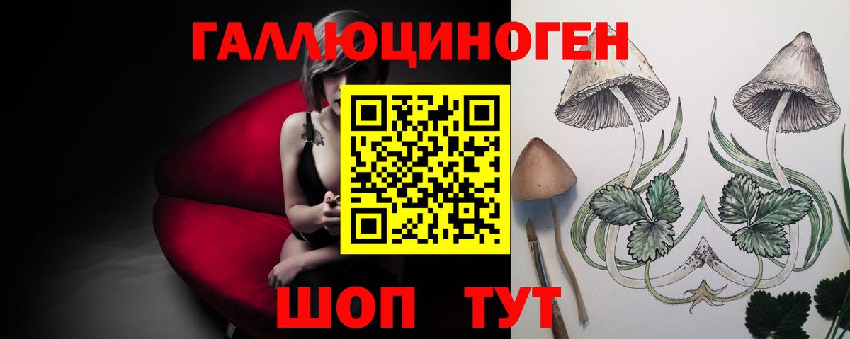 Галлюциногенные грибы Psilocybine cubensis Севастополь