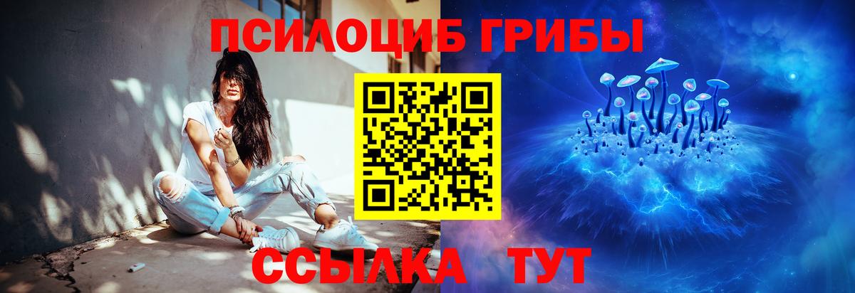 Севастополь  Галлюциногенные грибы Cubensis  Псилоцибиновые грибы GOLDEN TEACHER  Вход с VPN 